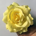  Light Yellow