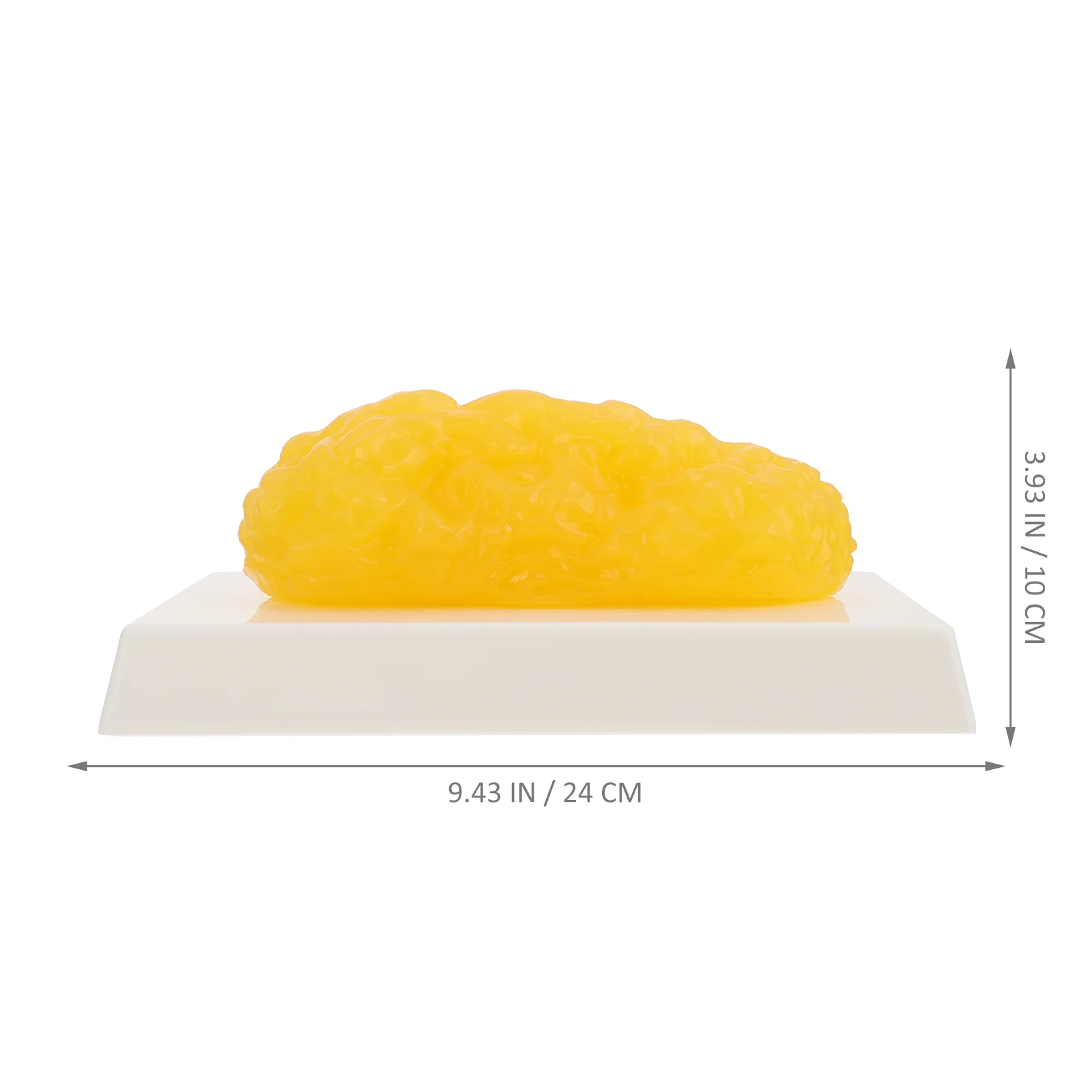 Рисунок 4 - Демонстрационное устройство для демонстрации жира