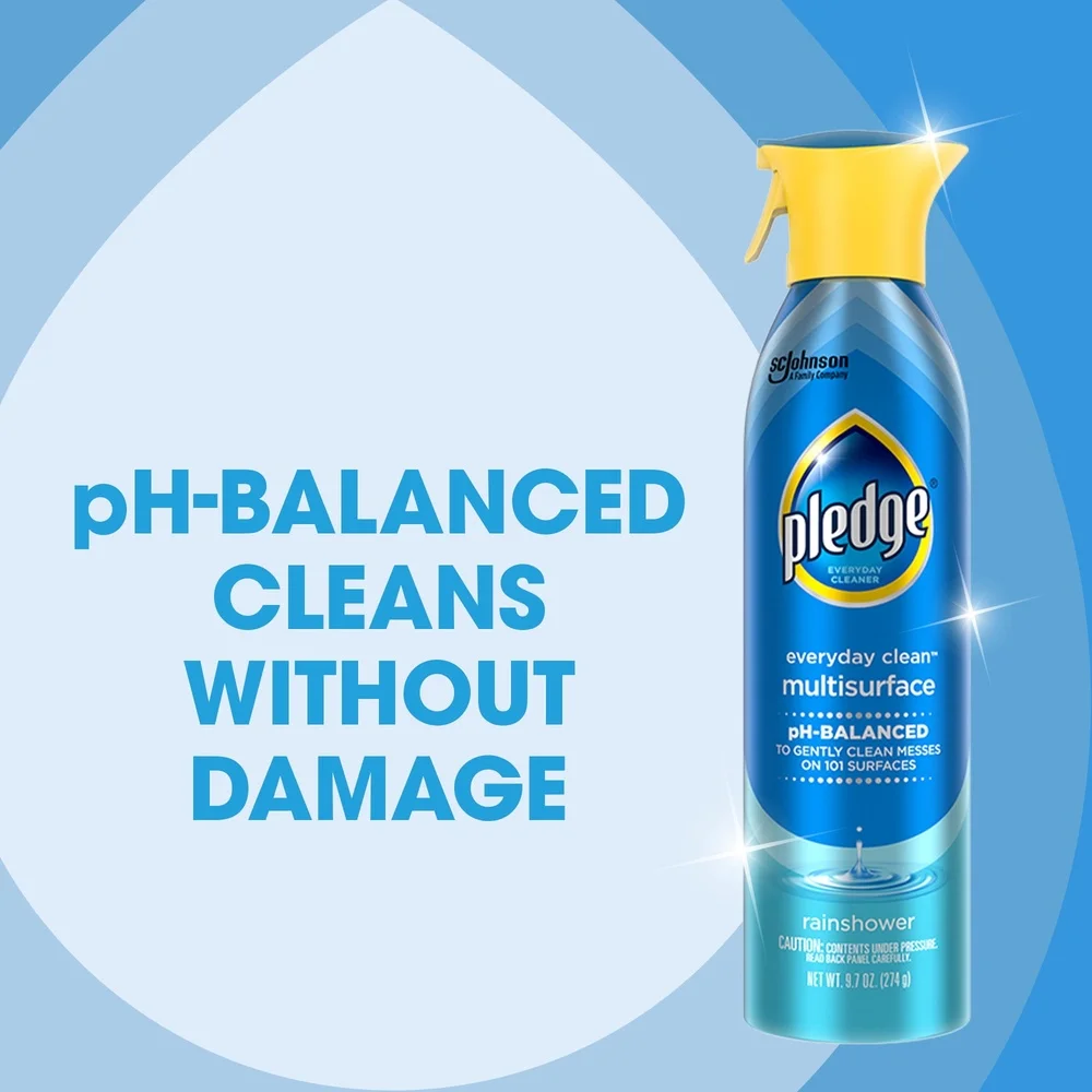Everyday Clean Multisurface Cleaner Rainshower aerosol
