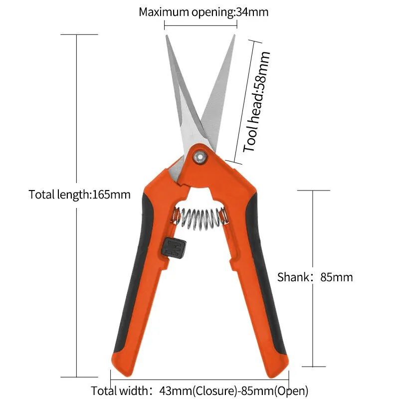 Scissors