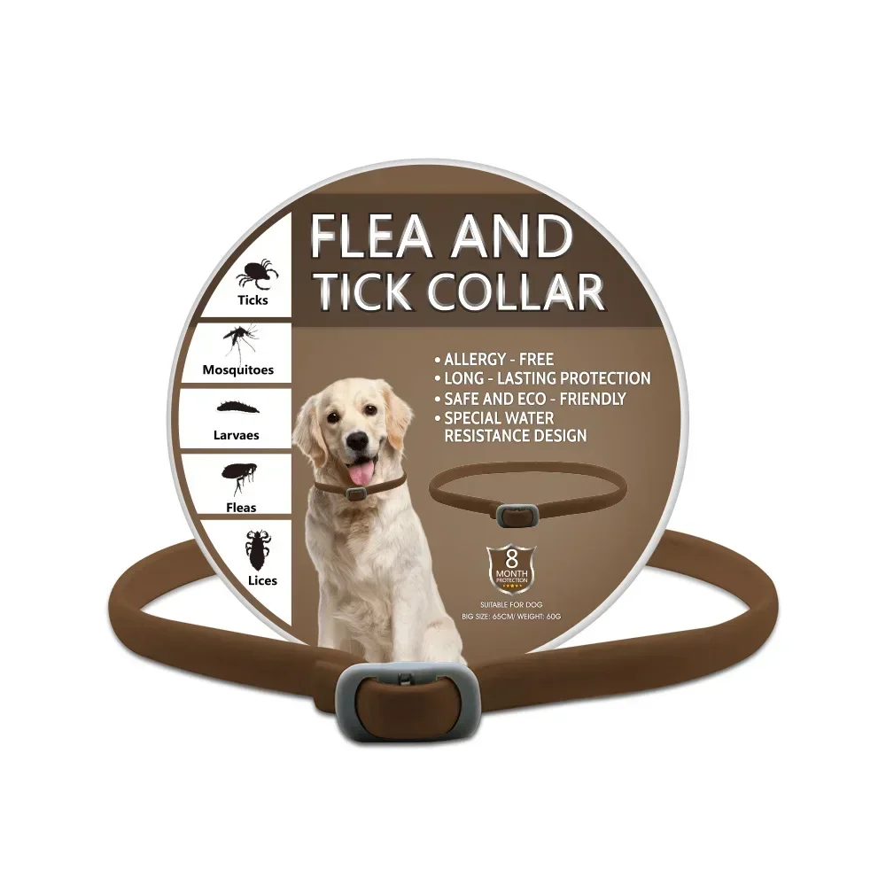 Coffee dog style
