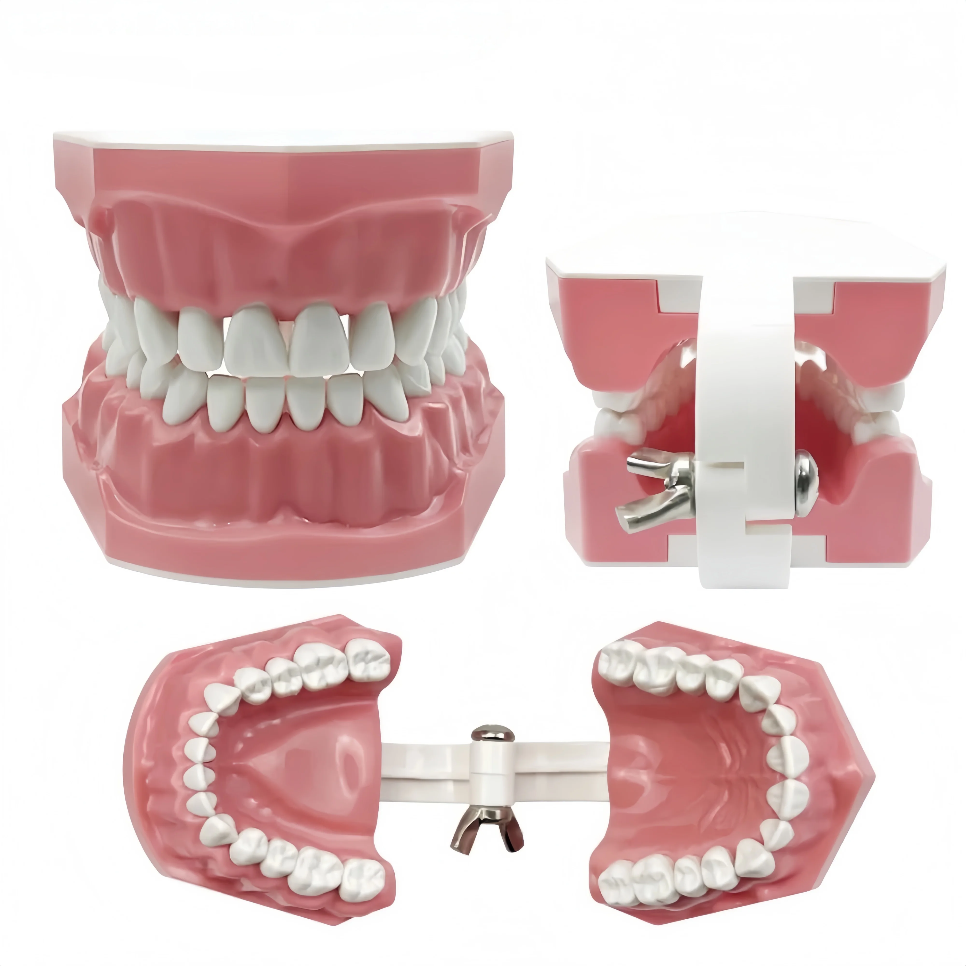 Dental Care Educational Tool for Brushing and Flossing Practice