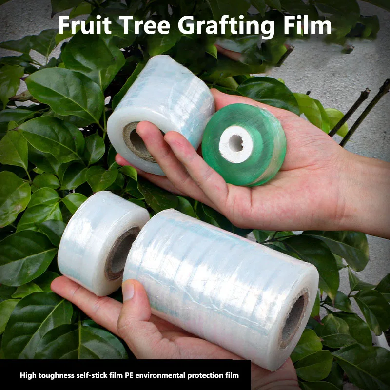 ���� �ʸ� ���� �ʸ�, ���� �ö�ƽ ��Ʈ��ġ �ʸ�, �������κ��� ���� ����, Ư�� �ʸ�