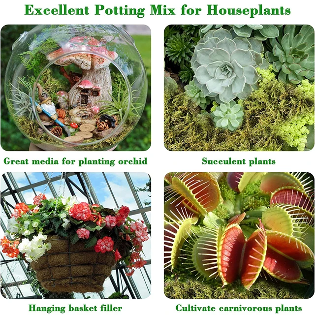 Sphagnum Moha 500 G Szárított Erdei Cserepes Keverék Növényekhez Természetes Húsevő Növény A Hüllőkhez Terrárium Dekorációhoz - Image 3