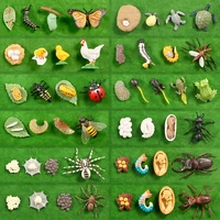 New Animal Life Cycle Board Children Toys Montessori Teaching Aids Plant Animal Growth Cycle Model Set Preschool Cognitive Toys 1