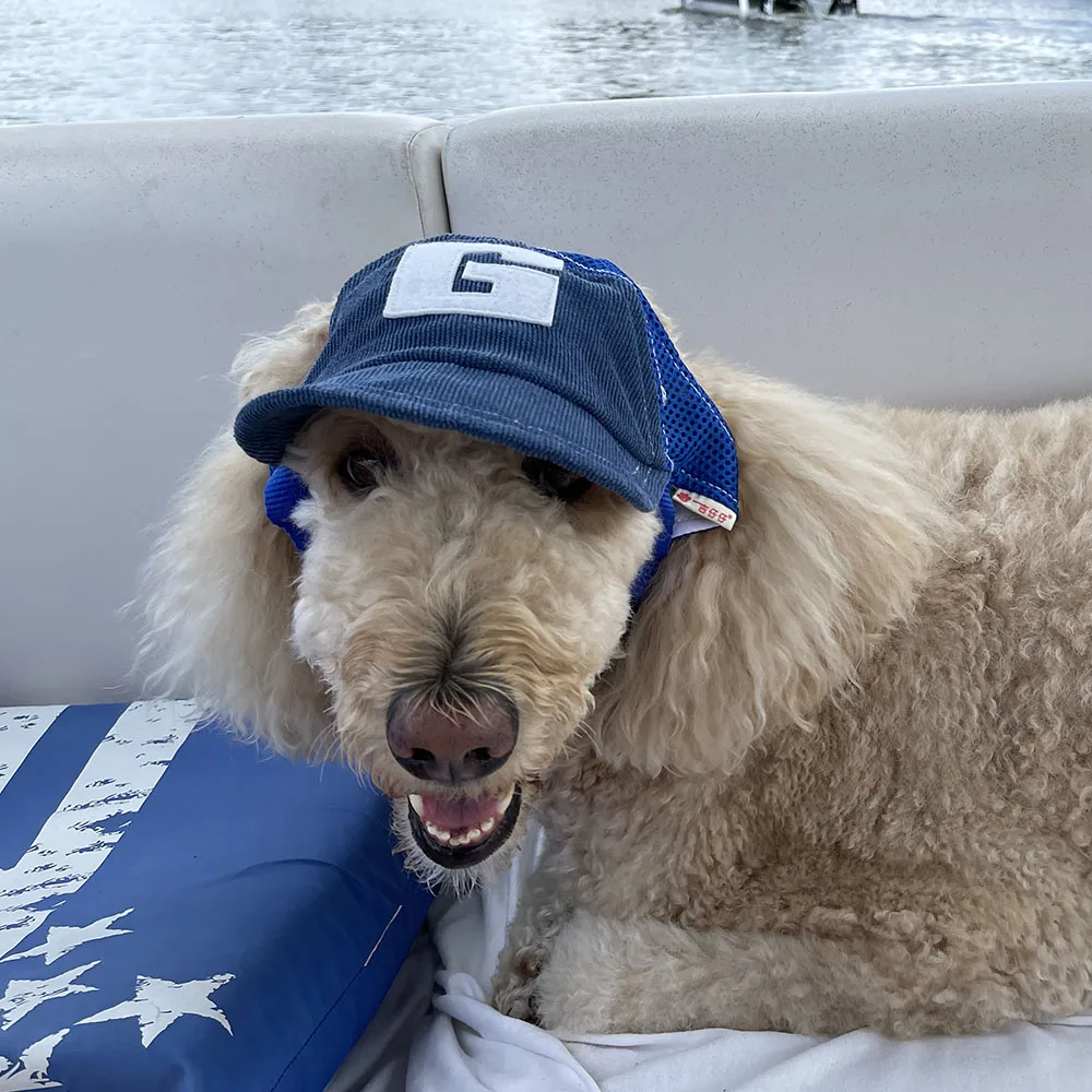 Sports Hat With Ear Holes For Dogs