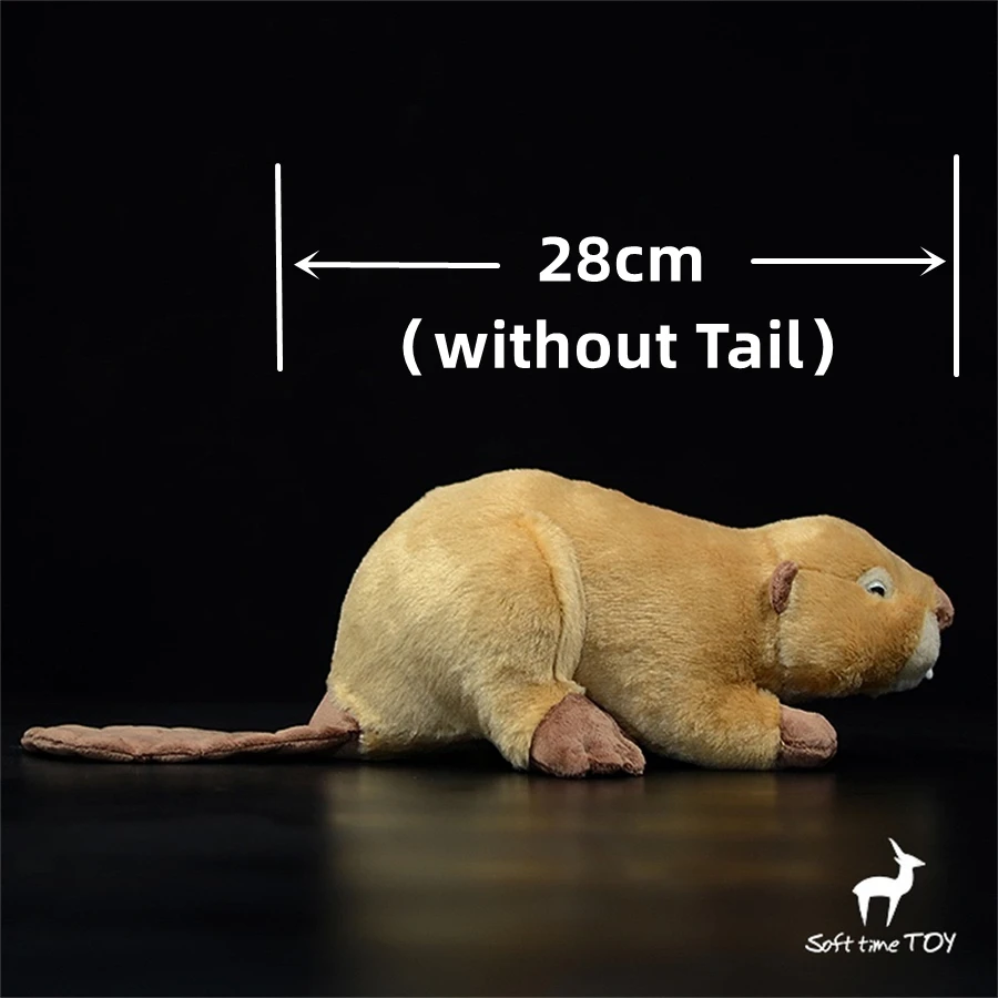 Beaver High Fidelity Anime Cute Otter Plushie Lutra Plush Toys Lifelike Animals Simulation Stuffed Doll Kawai Toy Gifts For Kids 2