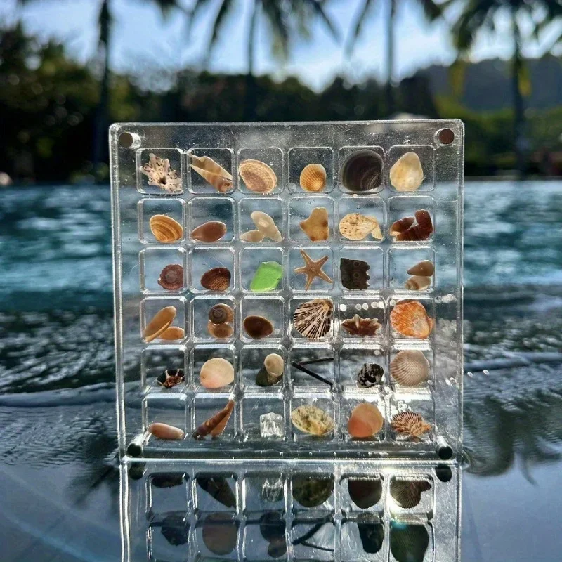 Acrylic Square Shell Storage Box - Transparent Sea Shell Display Cabinet, Mini Beach Stone Decorative Storage Frame