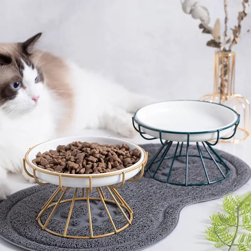 NewWhiskerFriendlyAntiVomitCatPlateElevatedBowlRaisedCeramic