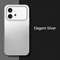 Elegant Silver