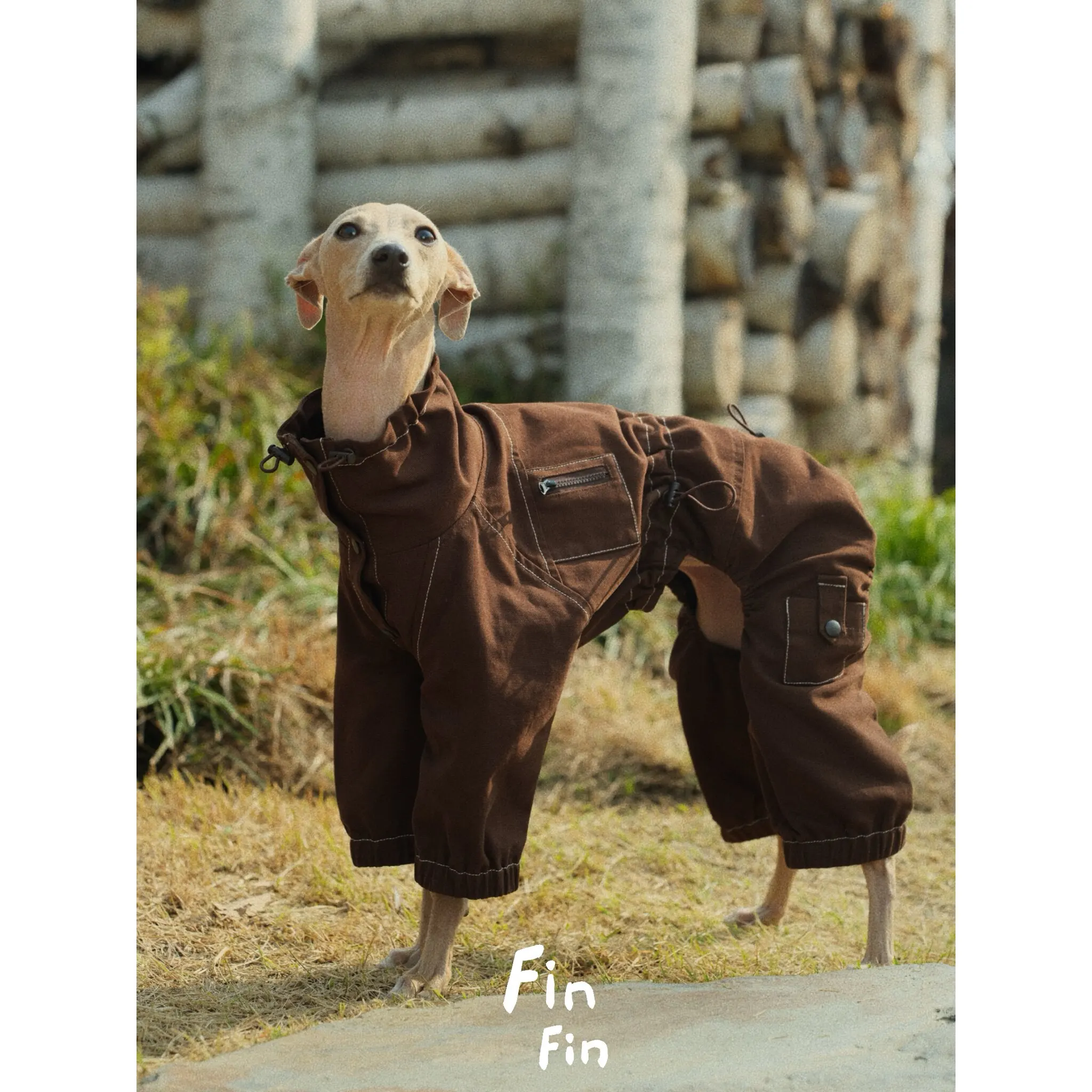 이탈리안 그레이하운드와 위핏견을 위한 스프링 브라운 패션 재킷, 하이넥 칼라..