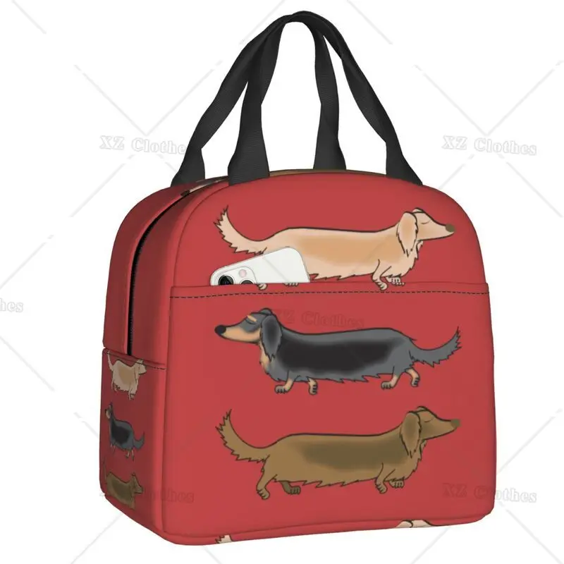 

Kawaii собаки породы такса изолированная сумка-тоут для ланча для мужчин, женщин, животных, собак, портативный охладитель, термальная коробка для бенто, для работы, школы, путешествий
