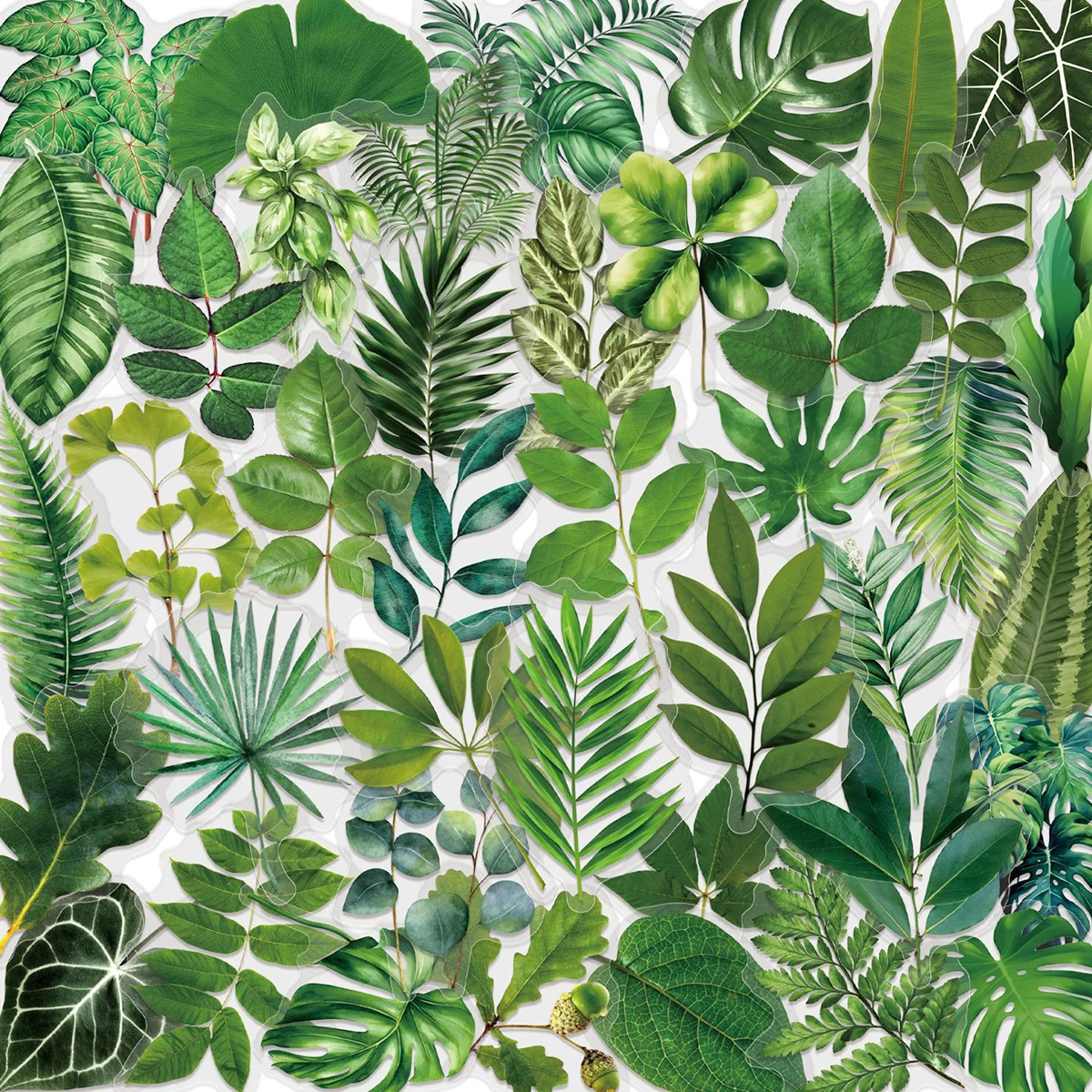 50 Transparent Floral Green Plant Stickers Made of Pet Material, Waterproof Stickers for Thermos Cups, Refrigerators, and Laptops