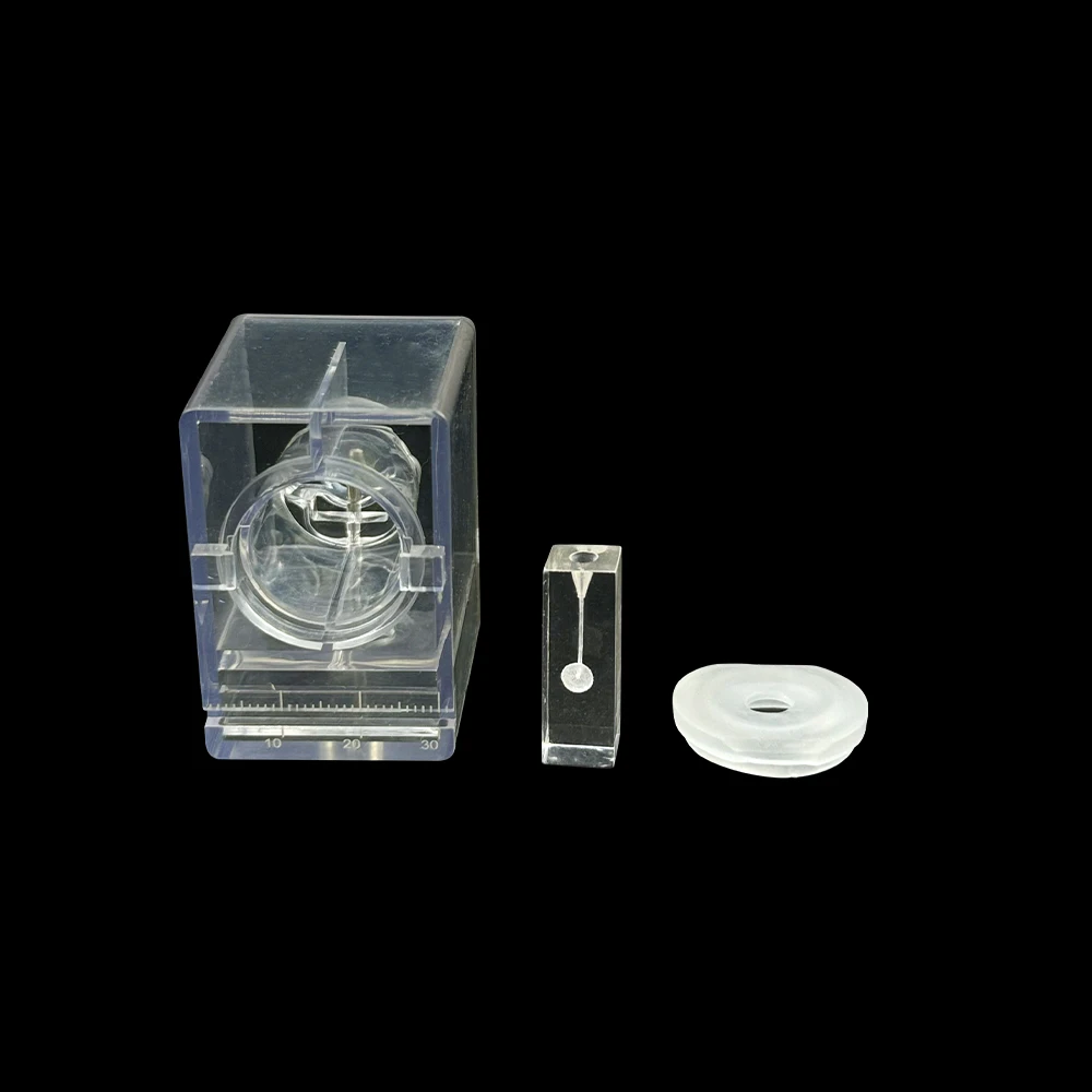 Root Canal Dental Training Model 4