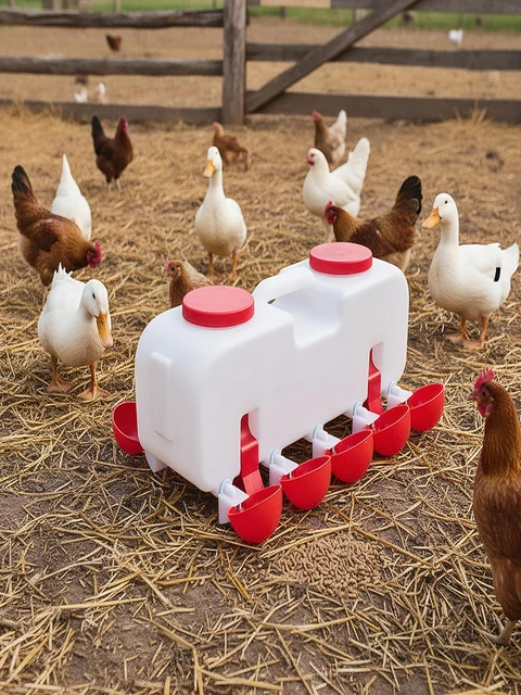10KG Self Filling Automatic Chicken Waterer with 10 Cup Poultry Dispenser Waterer Chicken Waterer Feeder for Pigeon Duck Goose