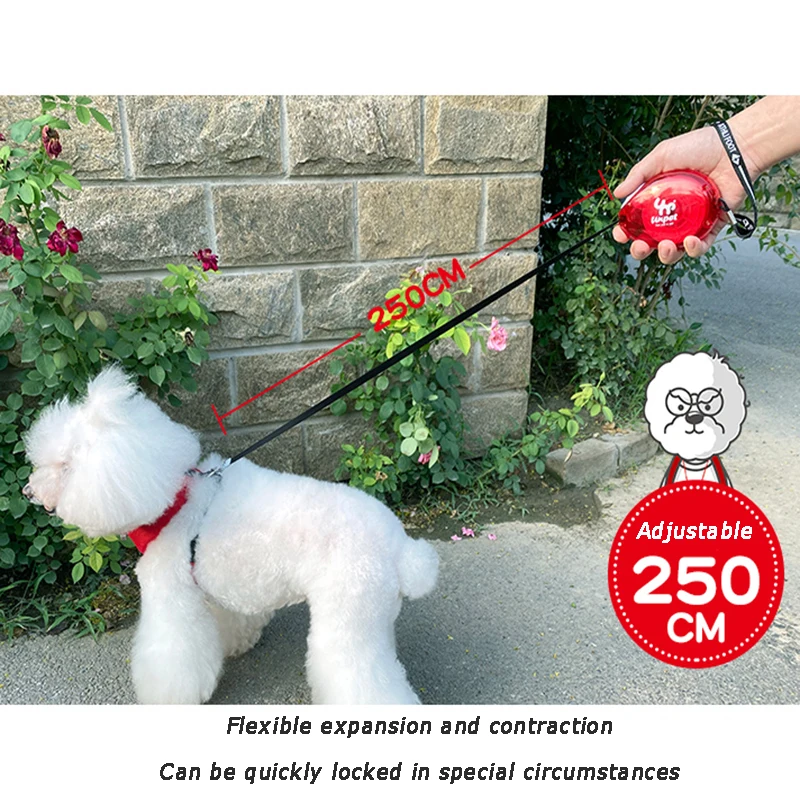 PetRetractableDogLeashAutomaticExtensionofTheLeashforPets