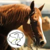 Adjustable Horse Head Rope Training Halter Outdoor For Lifting Strap Bridles Horses Headstall The Tie Show Equestrian Supplies 4