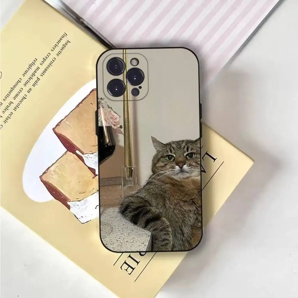 Funny Animal Cat Phone Case For iPhone 17 16 15 11 12 thumbnail 7