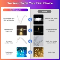 Smart LED String Bluetooth APP Control RGBIC Fairy Lights Waterproof USB Music Dream Color Light Party Room Decoration - Image 2