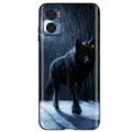 Case-c09