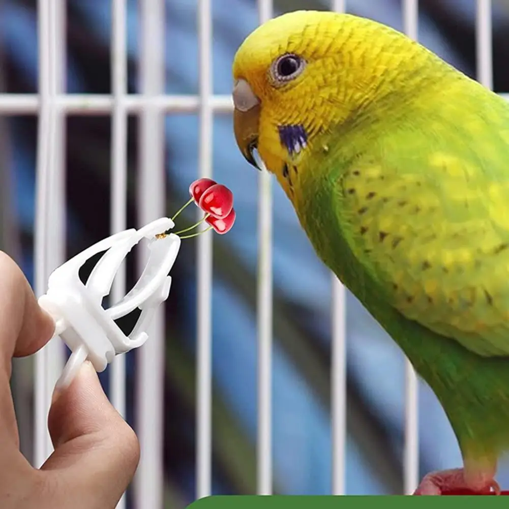 12PcsBirdCageClipsUniqueParrotBirdCageFruitClipsLongLasting