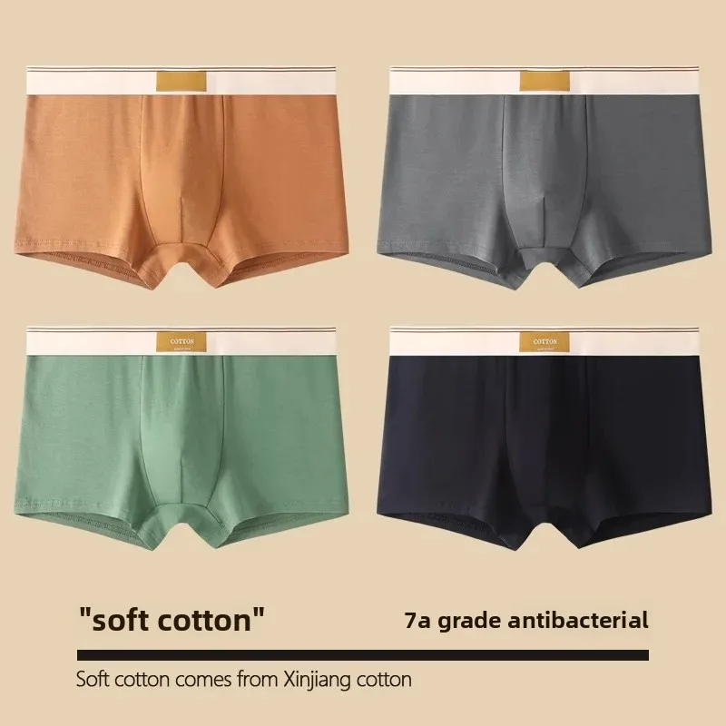 Cloth label [pure cotton -4 pack] Brown + dark gray + Bean Green + Black