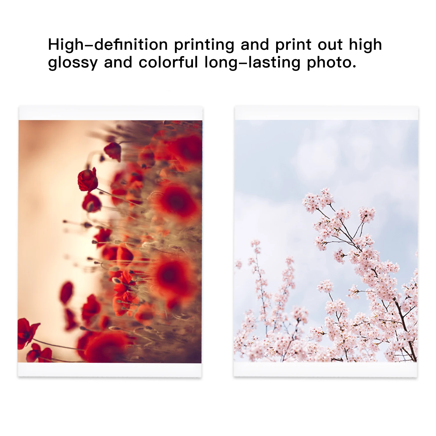 Impressora Fotográfica a Cores Impressora Fotográfica sem Fio Portátil a Cores Usb Bluetooth 300dpi Impressora de Sublimação Térmica ou Fita de Papel - Imagem 6
