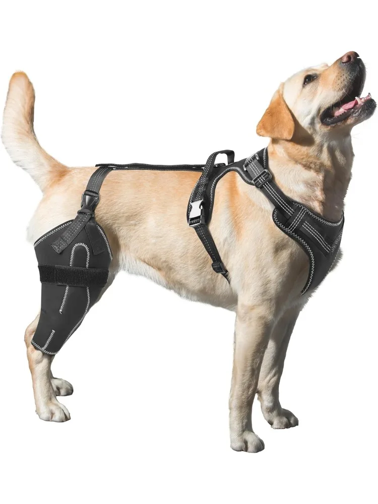 Dog Acl Knee Brace for Torn Acl Leg Dog Knee Braces for Back Leg Warm Joint and Relieves Joint Pain Better Recovery