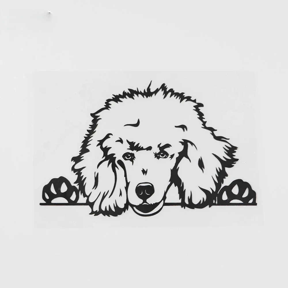 

Rear Window Stickers Custom Sticker Car Decals Motorcycle Accessories Decoration Products Personality, Sunscreen and Waterproof