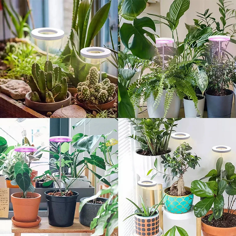 Enhanced LED Grow Light with Adjustable Spectrum and Timer
