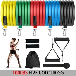 Enhanced Resistance Bands Set for Strength Training and Home Workouts - Includes Door Anchor, Handles, and Ankle Straps (5Color - 100LBS)