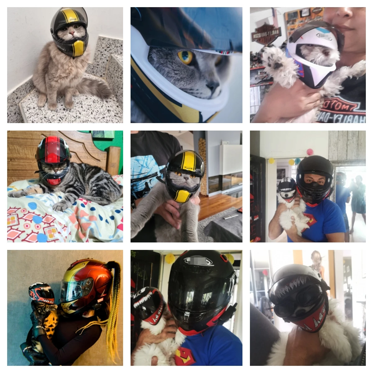 Pet Motorcycle Helmet Small Full Face For Cat Dog Puppy Outdoor Head Protecting