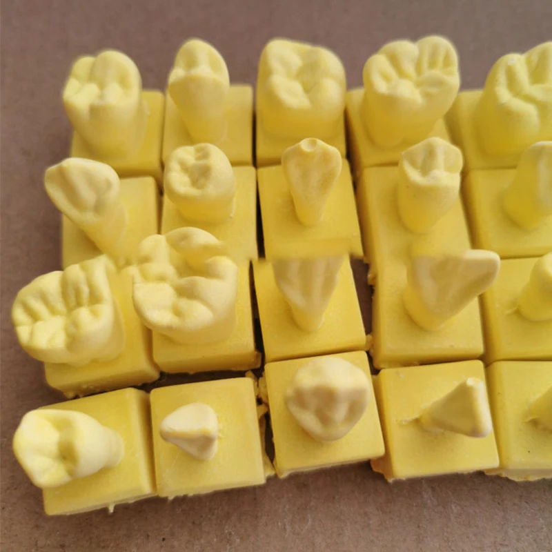 

Учебные инструменты для обучения стоматологии, стоматология, обучение, время сравнения, резьба, обучение, постоянная модель зубов