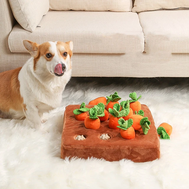 Dog Puzzle Toys Carrot Stuffed Toy with Numbers Dog Feeding Mat Interactive  Dog - AliExpress