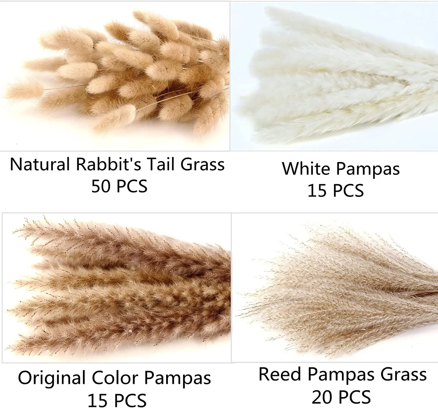 

100PCS Dried Pampas Grass Contains Bunny Tails Reed Bouquet Wedding Boho Flowers Home Decor Fluffy Room Phragmites Decoration