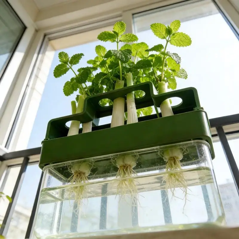Green Onion Hydroponic Planter: Water-Efficient Cultivation System