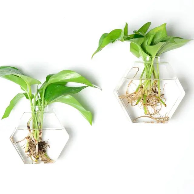 Cone Wall Hanging Planter 3