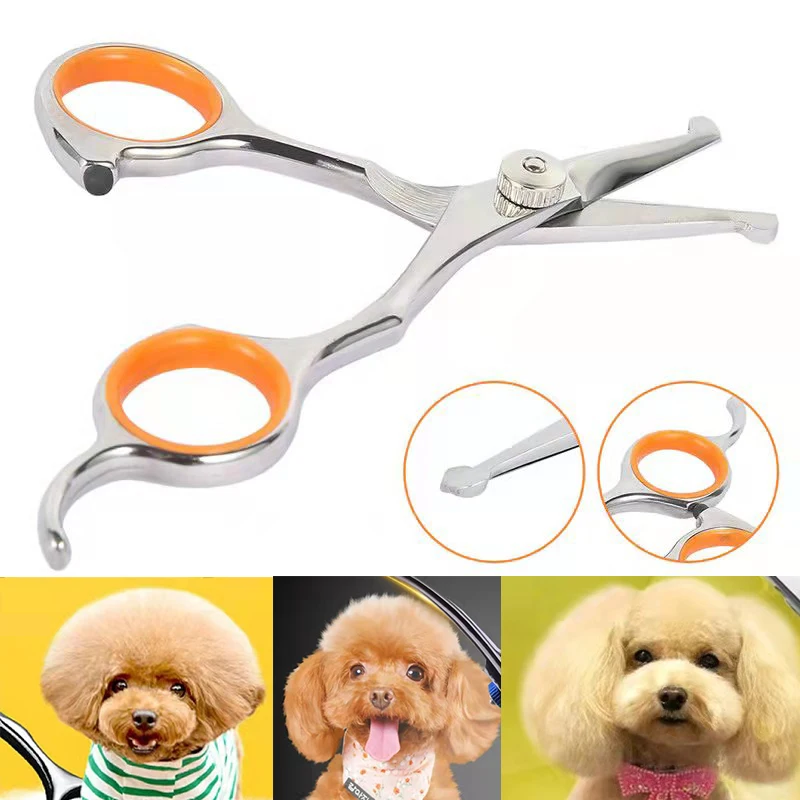 

Professional Pet Hair Scissor Stainless Steel Durable Safety Rounded Tips Cat Dog Hair Cutting Tool Pet Grooming Barber Supplies