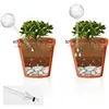 2/3/4/6Pcs Automatic Plant Watering Bulbs Self Watering Glass Balls Watering Device Drip Irrigation System For Garden Flower 4