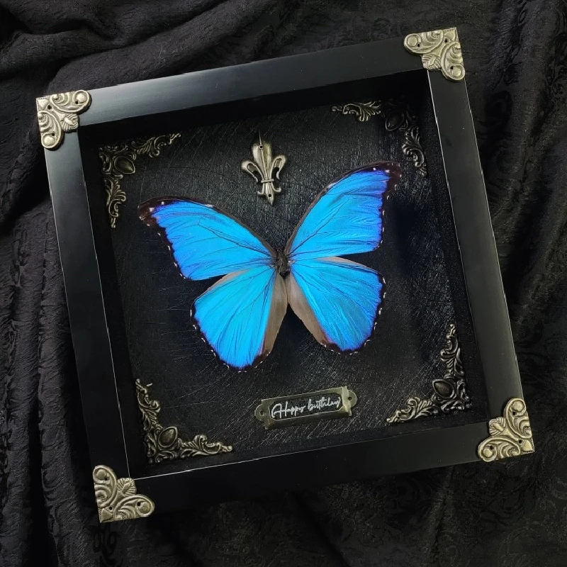 

2059Original Photo Frame Butterfly Home Decoration Insect Specimen Hanging Painting Valentine's Birthday Commemorative Gift Room