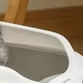 고양이 화장실 물튀김 방지 대형 고양이 변기 청소용품 대형 고양이 배변통 애완..