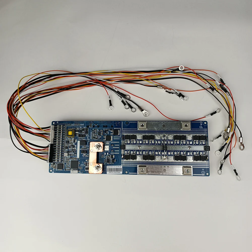 Seplos 스마트 BMS 리튬 이온 LiFePo4 BMS, 48V CAN/RS485 보드, 블루투스 인버터 8S 13S 14S 15S 16S 50A 100A 150A 200A