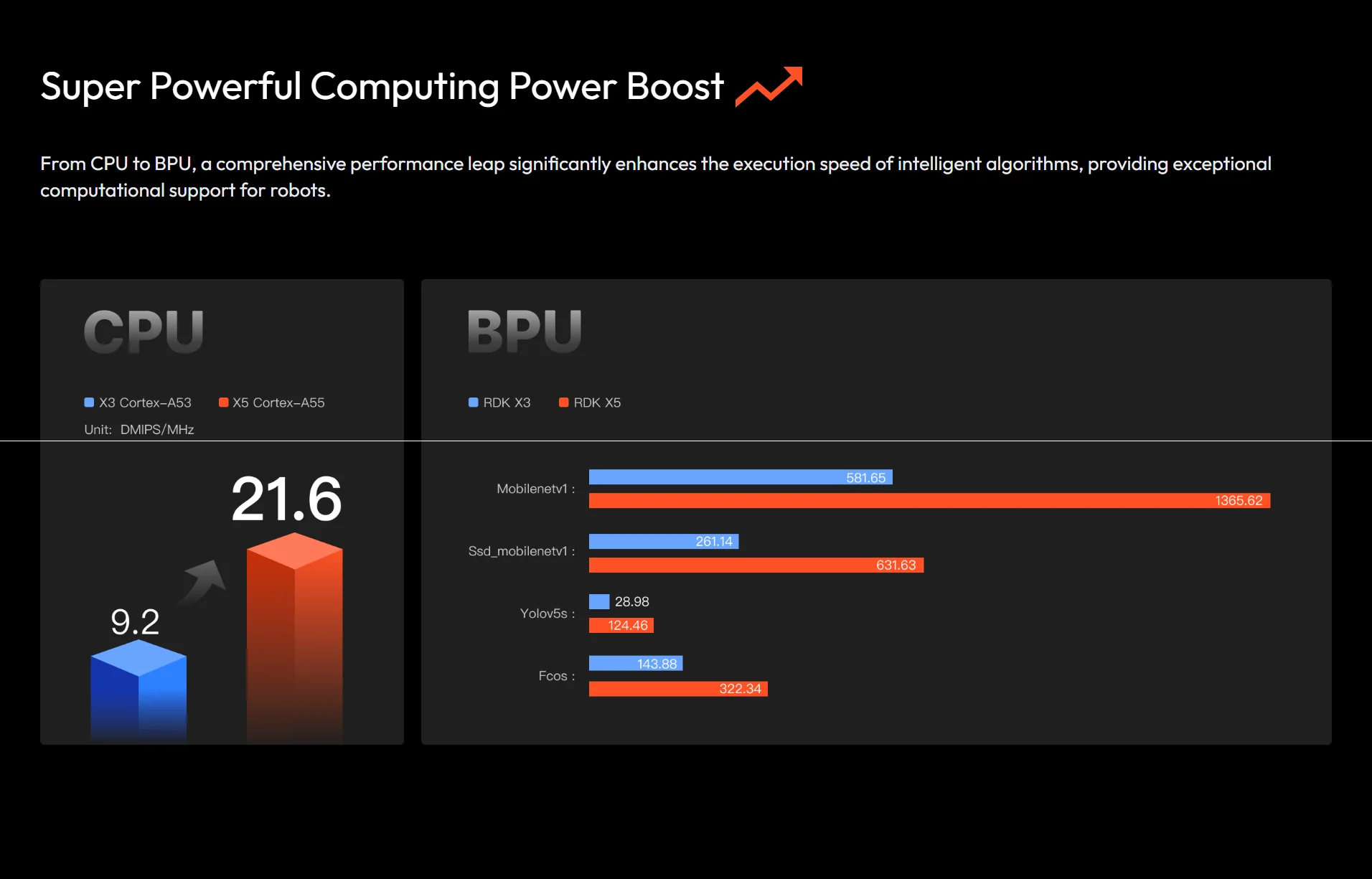 D-Robotics RDK X5,10 TOPs of computing power