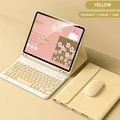 A Yellow-mouse