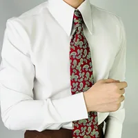 2025 nouvelle haute qualité col étalé chemise pour hommes sans plis à manches longues coupe ajustée affaires décontracté Vintage tenue de bureau hommes chemises 1