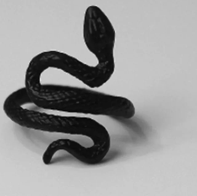 Image 10
