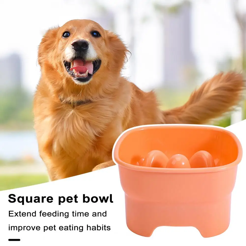

Food-grade Pet Bowl Non-slip Pet Bowl Stable Base Pet Bowl Capacity Anti-choking Cat Dog Slow Food Feeding Bowl Pet Supplies