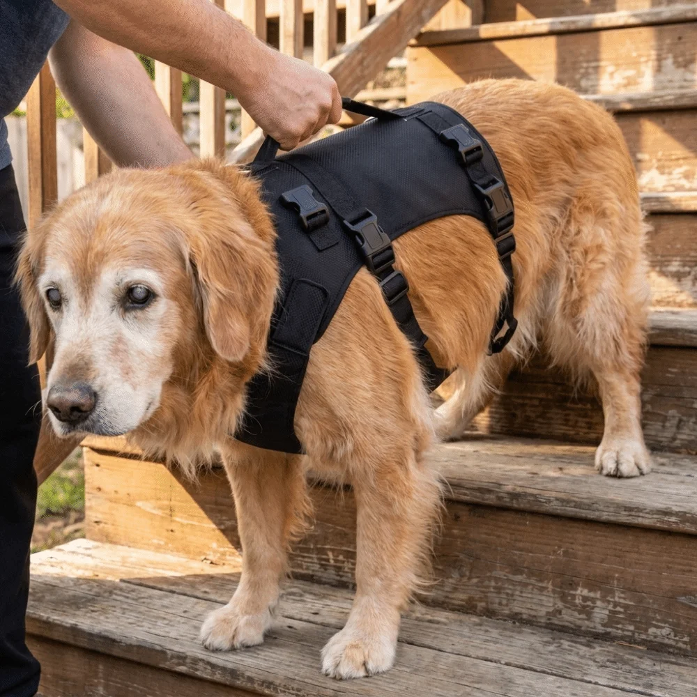 Imbracatura di Sollevamento per Cani con Cinghie Regolabili, Imbottitura Larga per la Pancia, Supporto Completo per il Corpo, Ausilio per la Mobilità, Maniglia di Sostegno, Resistente