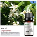 Neroli