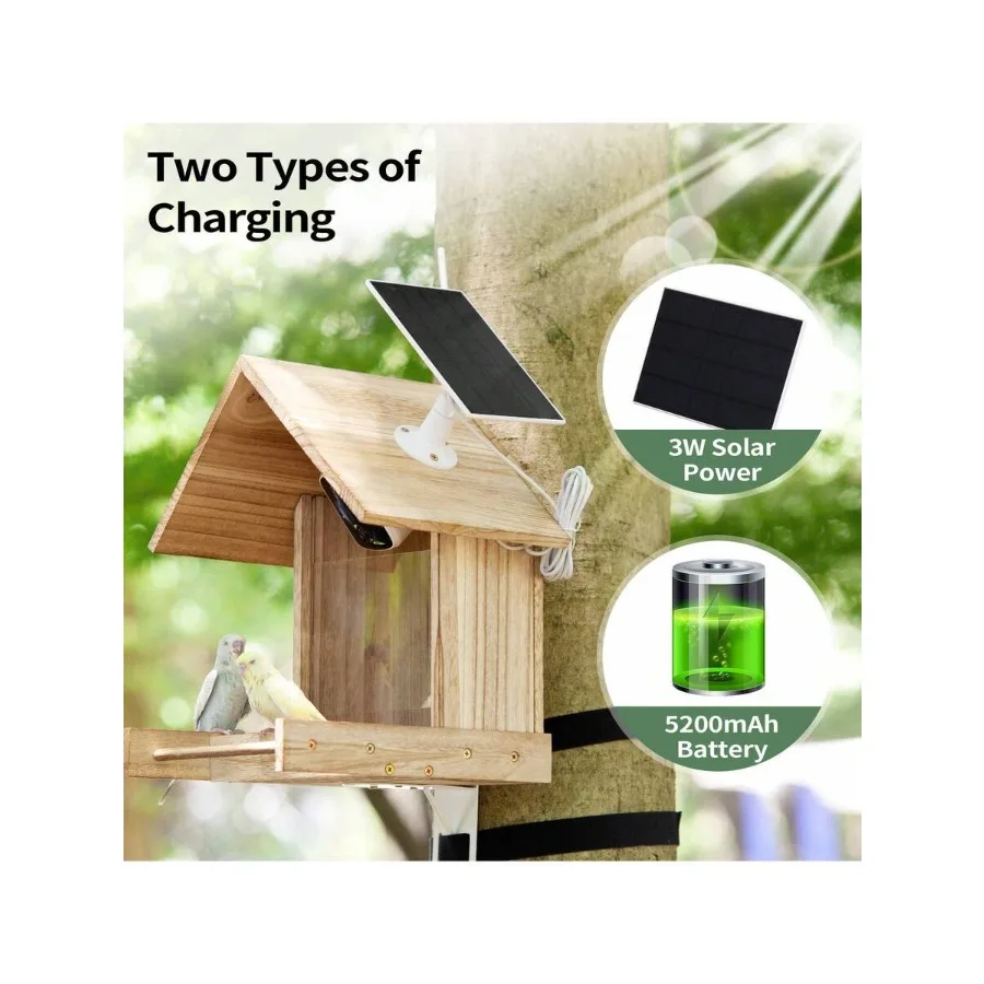 Smart Bird Feeder Camera 5